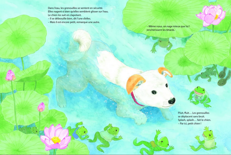 illustration colorée : un petit chien nage dans l'eau entouré par des grenouilles