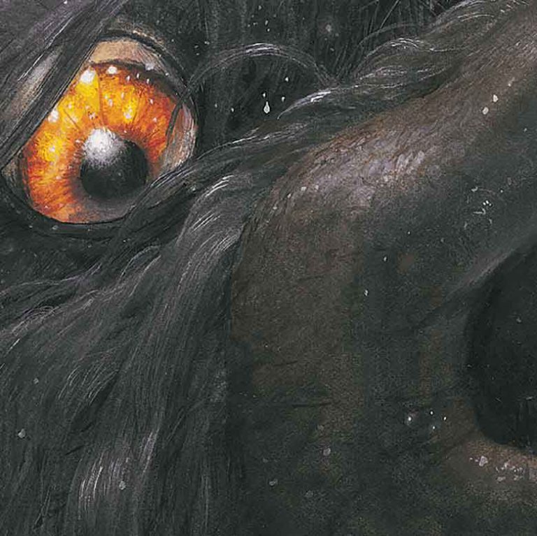 chiennoir1.jpg