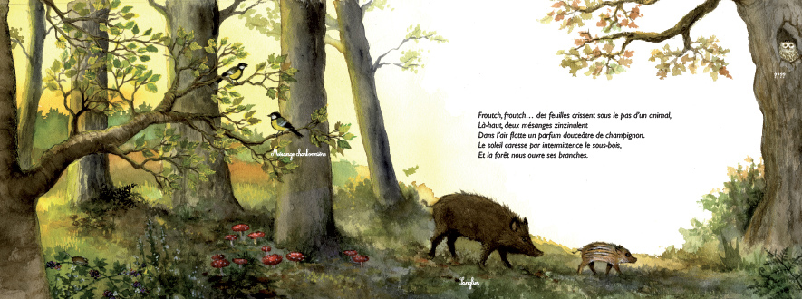 ces_arbres_qui_font_nos_forets_1_editions_ricochet.jpg