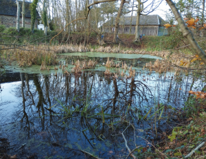 Explorer notre environnement