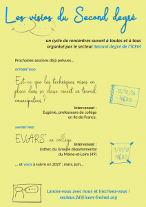 Les visios du Second degré